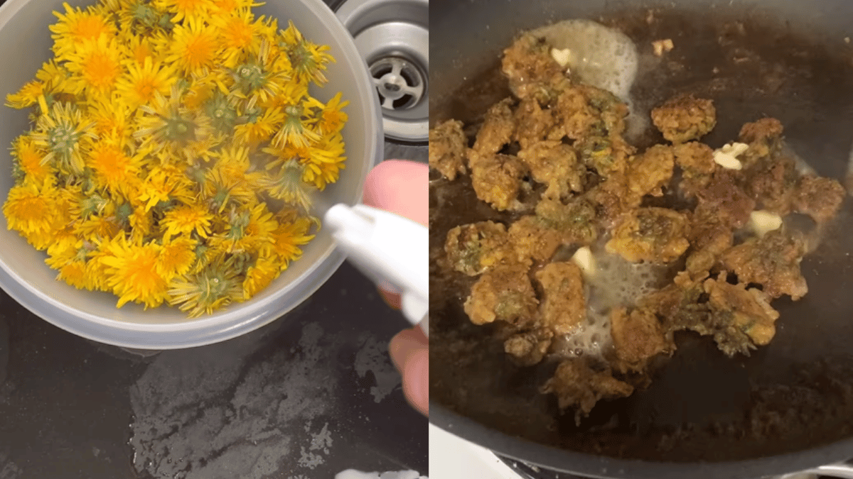 Viral Video Woman Makes Dish Out Of Dandelions That Tastes Like